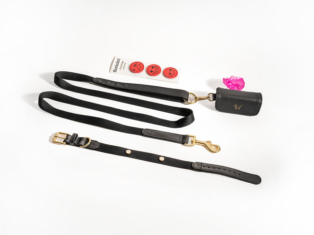 Black Dog Collar Walk Kit + Poop Bag Holder + Pins
