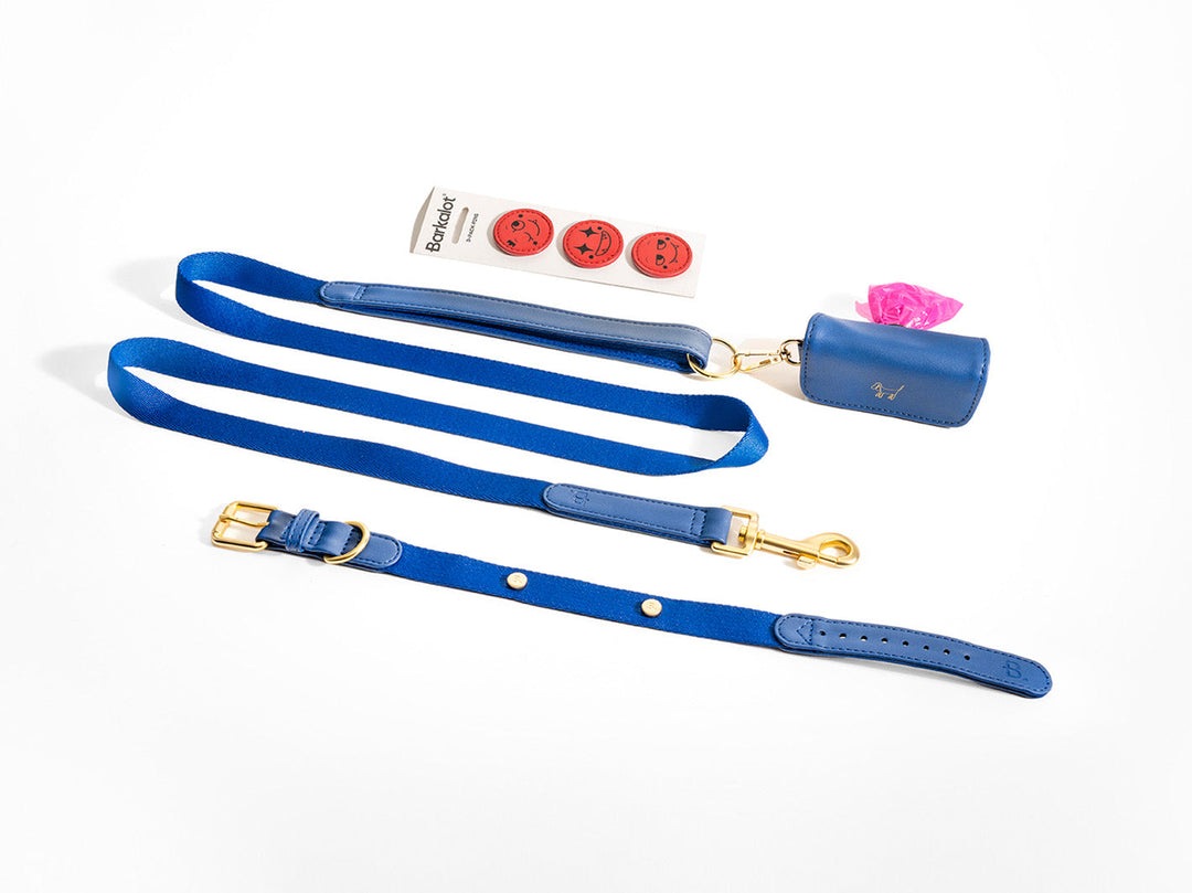 Blue Dog Collar Walk Kit+ Poop Bag Holder + Pins
