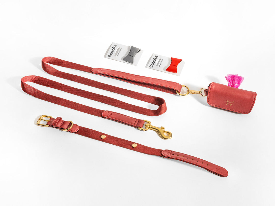 Bugundy Dog Collar Walk Kit + Poop Bag Holder + Pins