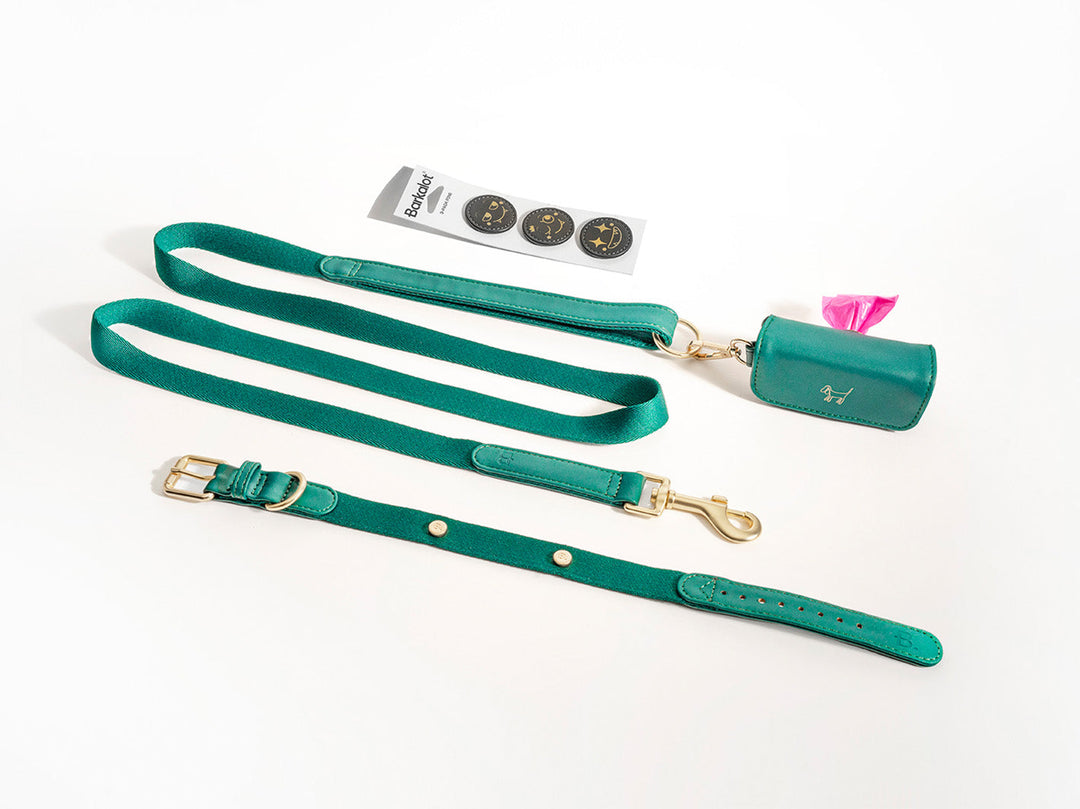 Green Dog Collar Walk Kit + Poop Bag Holder + Pins