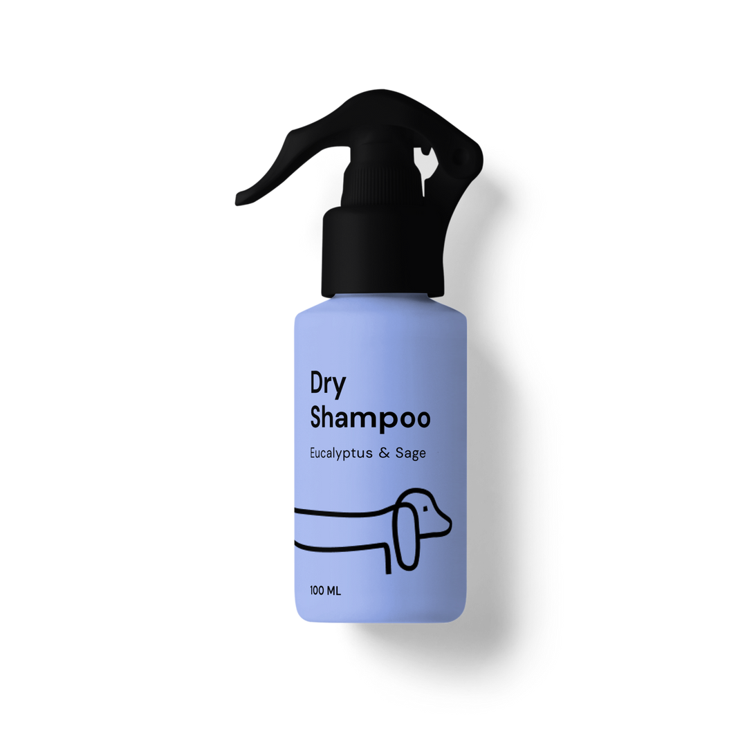 Dry Shampoo