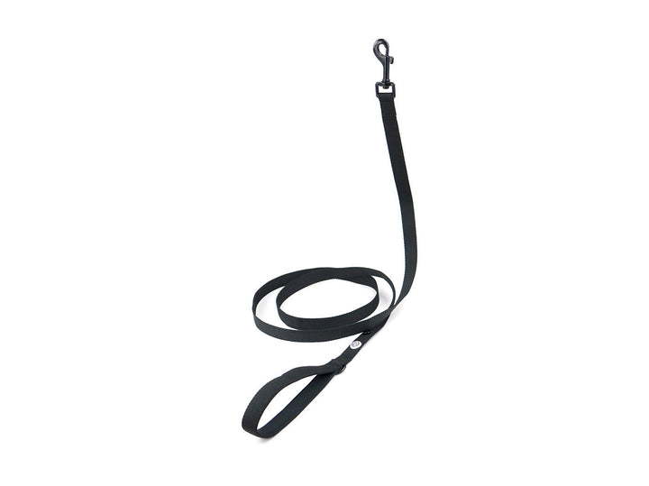 Pitch Black Dog Collar Walk Kit